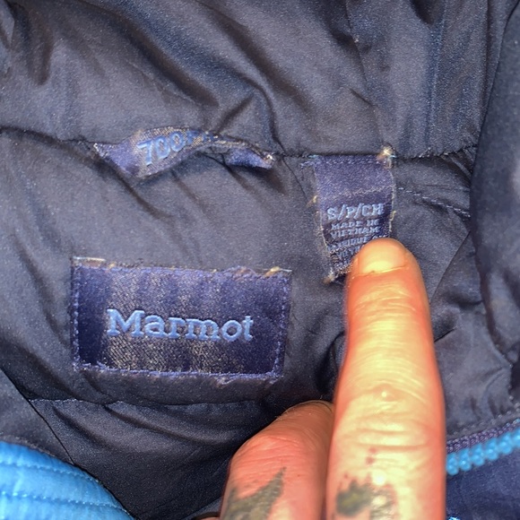 Marmot puffer - Picture 5 of 5